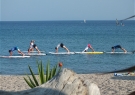DSCF6862