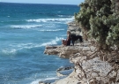 DSCF7906.JPG